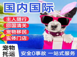 佛山空运国际宠物托运 【国